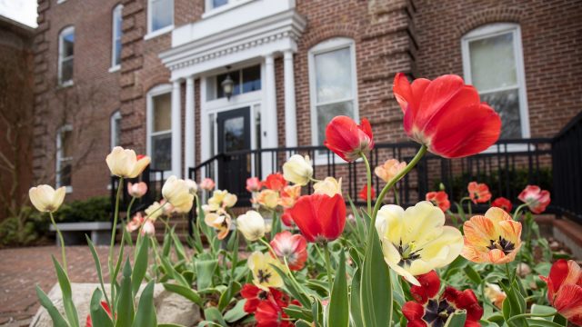 red and yellow flowers are in the foreground while a Bridgewater College brick building is in the background