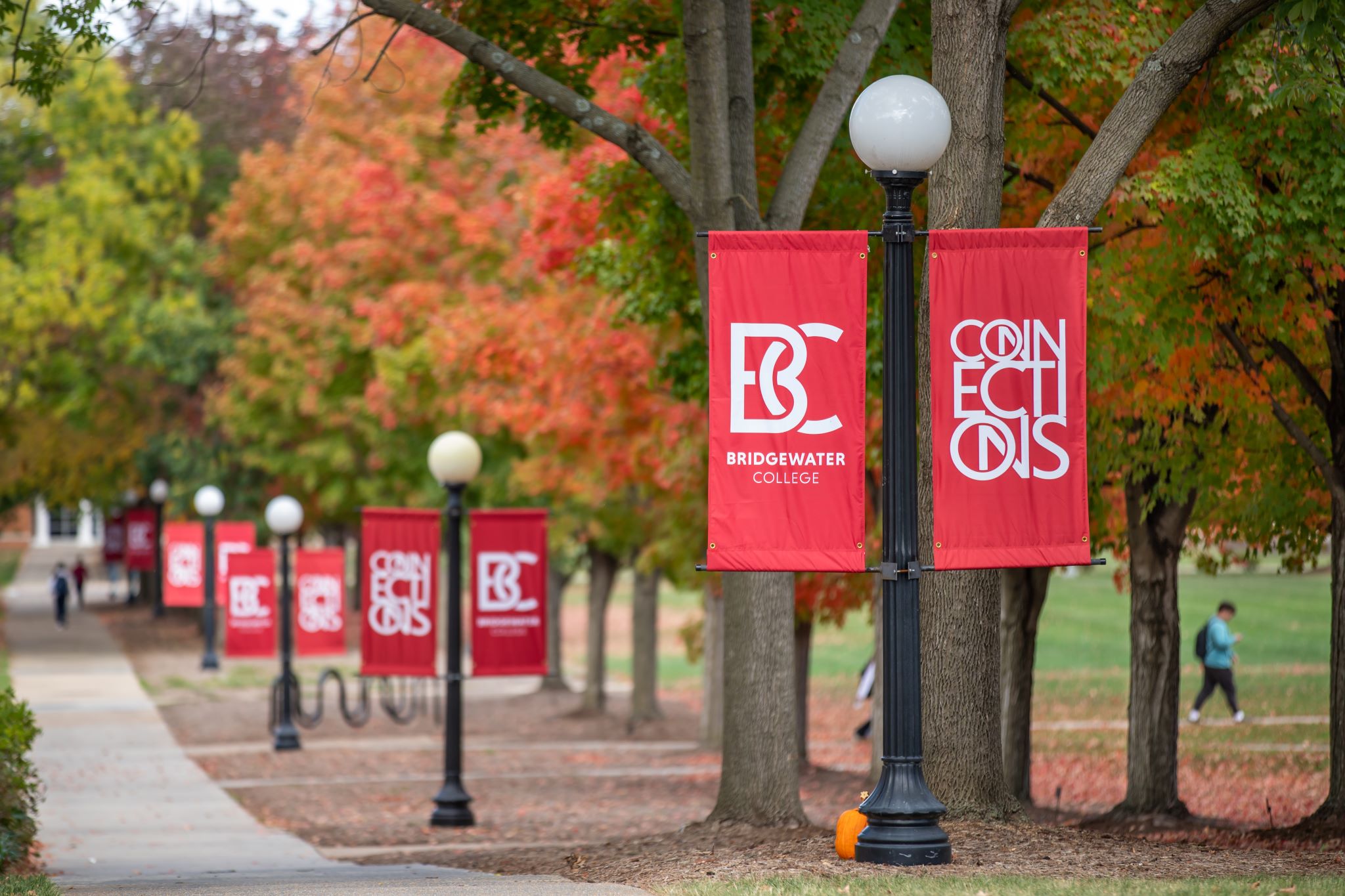 Crimson B-C banners in the fall