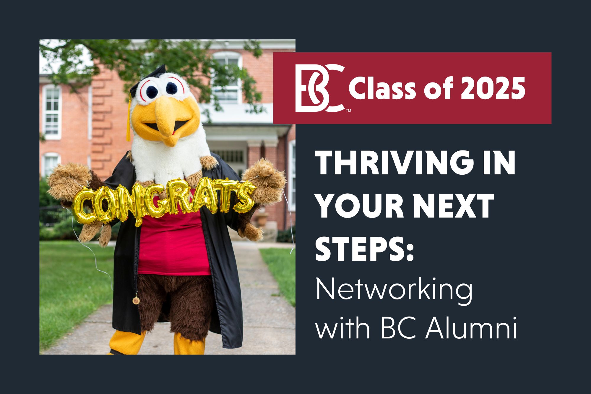 Ernie, an eagle mascot, wearing a graduation cap and gown, holds gold balloon letters spelling 'CONGRATS' in front of a brick campus building. The right side of the image has a dark background with white text reading: 'BC Class of 2025 – Thriving in Your Next Steps: Networking with BC Alumni