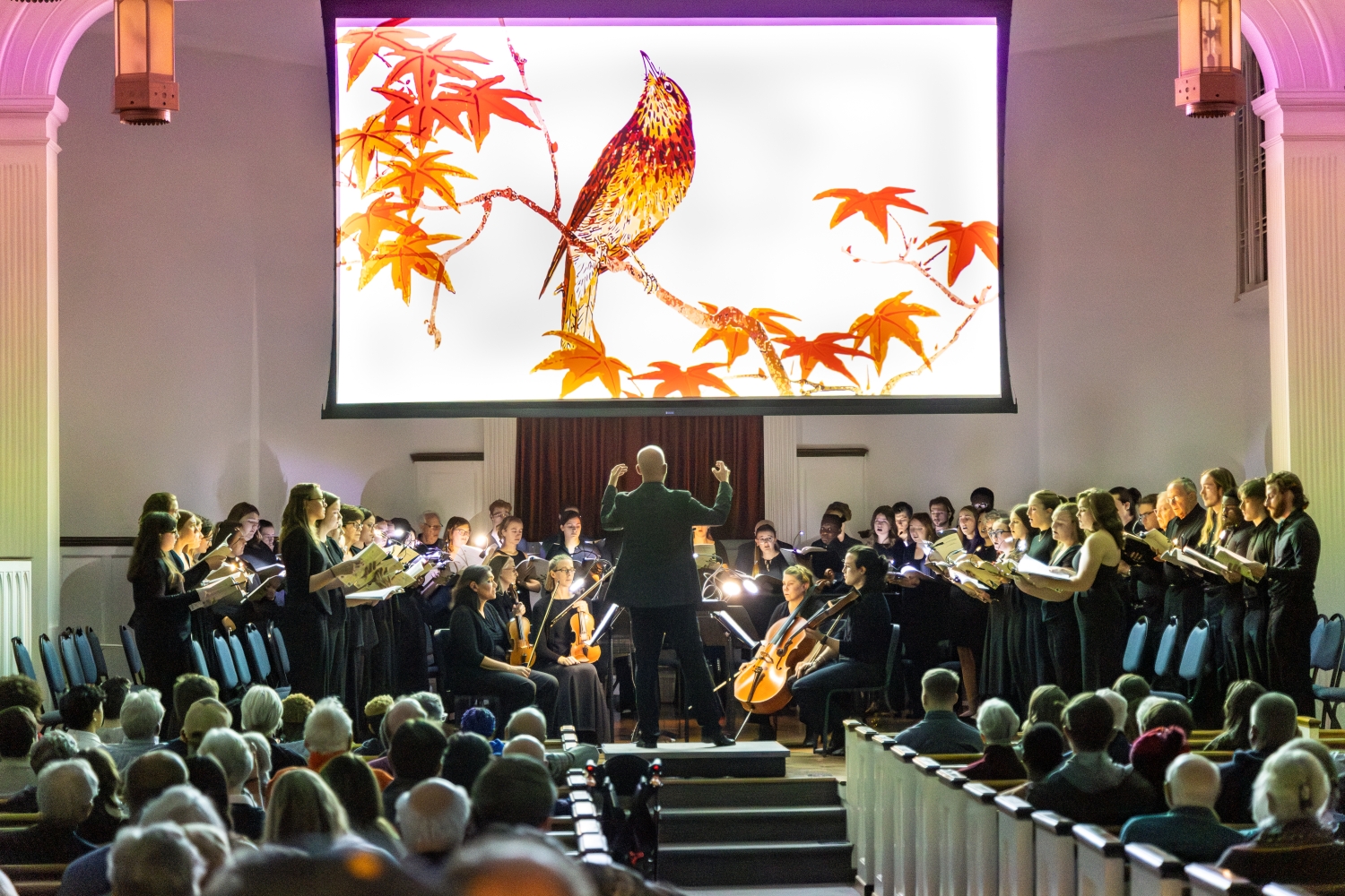 the_lost_birds_concert_200-Enhanced-NR