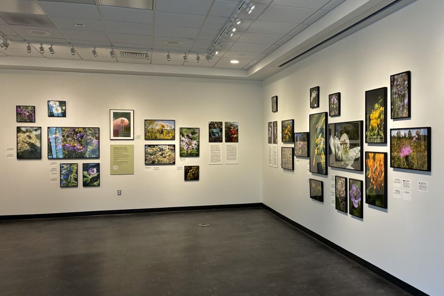 Art Gallery with framed work by Scott Jost hanging on the wall